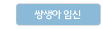 쌍태아임신