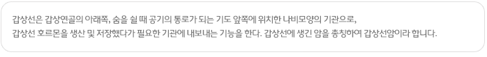 갑상선은 갑상연골의 아래쪽, 숨을 쉴 때 공기의 통로가 되는 기도 앞쪽에 위치한 나비모양의 기관으로, 갑상선 호르몬을 생산 및 저장했다가 필요한 기관에 내보내는 기능을 한다. 갑상선에 생긴 암을 총칭하여 갑상선암이라 합니다.