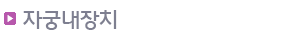 자궁내장치
