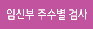 주수별검사